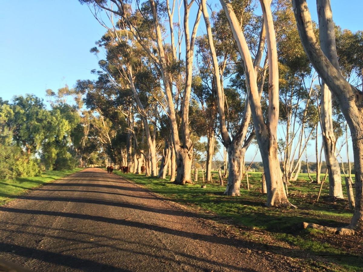 Lochinver Homestead And Cottages Maryborough Kültér fotó